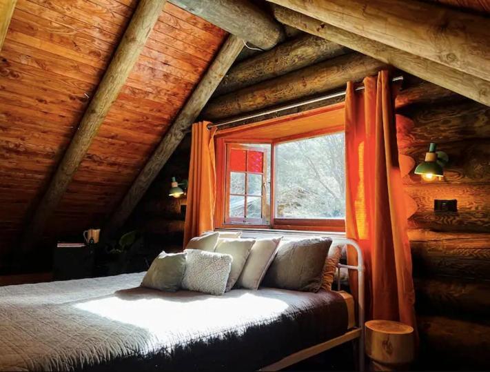 Coromandel Secluded Log Cabin Retreat Hikuai Eksteriør bilde